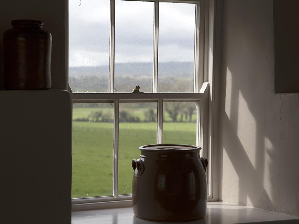 Penzion Kilgraney House Bagenalstown Exteriér fotografie